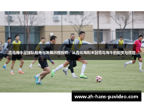 青岛海牛足球队前身与发展历程探析：从青岛海利丰到青岛海牛的蜕变与辉煌